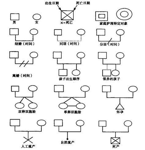 家庭圖關係線